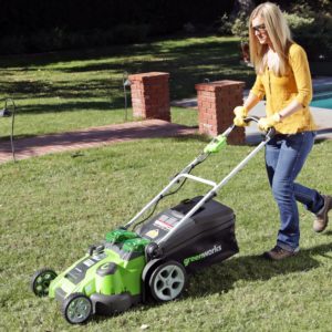 Greenworks 25302 run